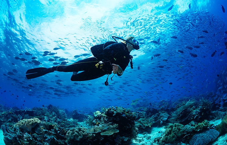 アウトドアアクティビティ事業